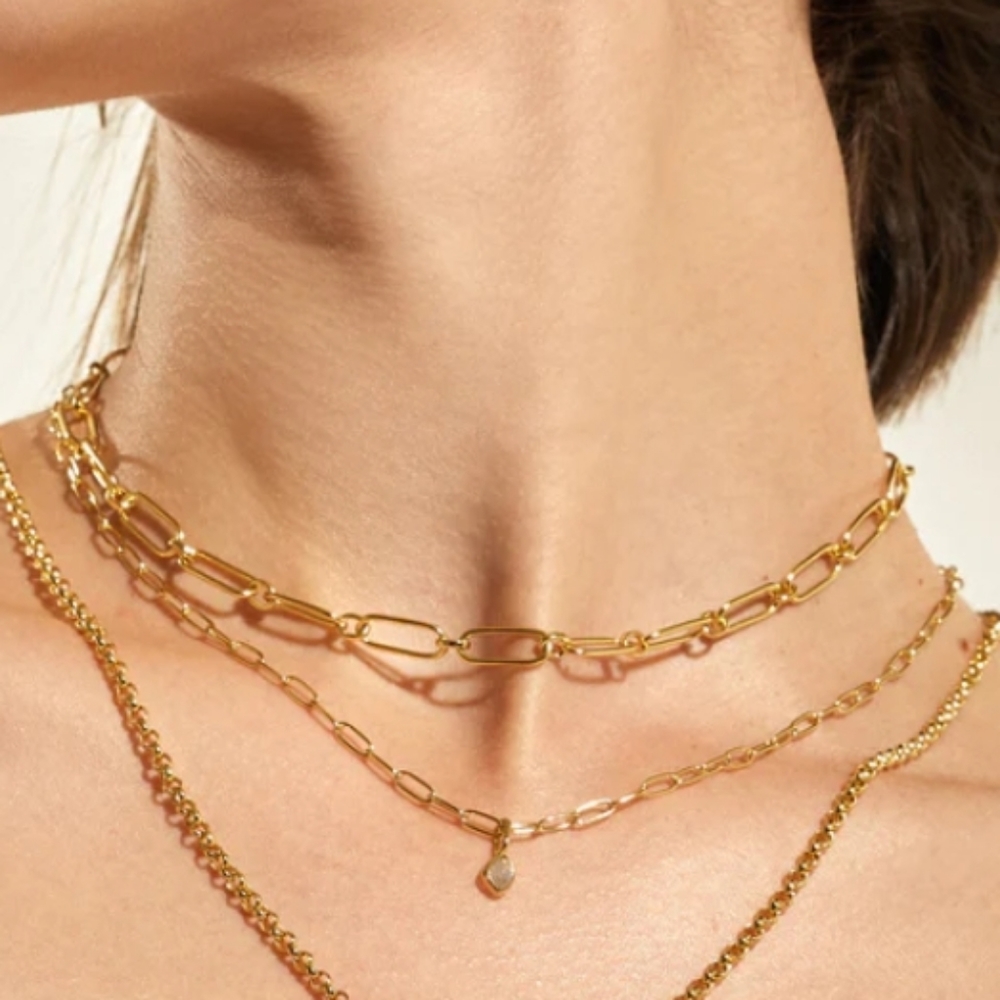 Ania Haie Gold Link Charm Chain Necklace New